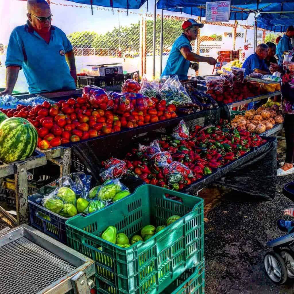 Fresh fruits and vegetables at the farmers market in Barva de Heredia